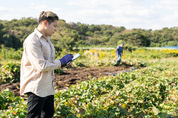 An agricultural manager analyzes crop data on a tablet.