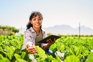 A sustainability expert uses a tablet to track crop development while kneeling in a field.