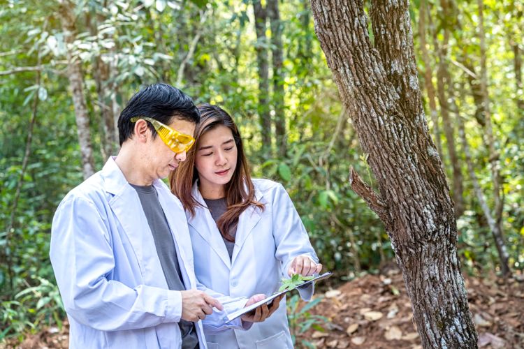 Two environmental scientists stand side by side in a forest studying a plant leaf while looking at a clipboard.