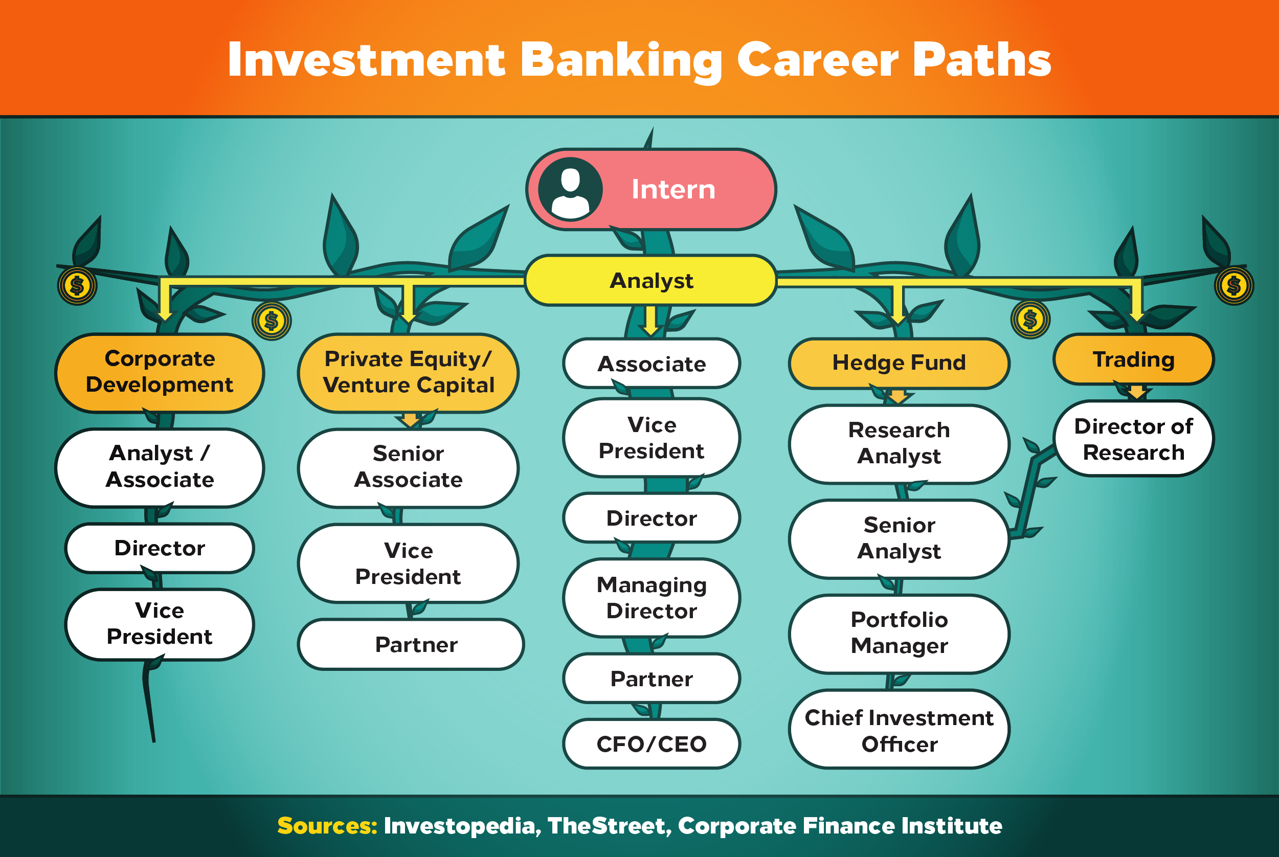 Investment banking career paths include analyst, private equity, hedge fund management, and trading.
