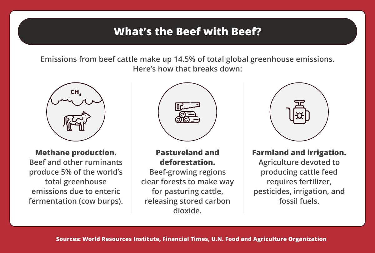 Three reasons beef is unsustainable.