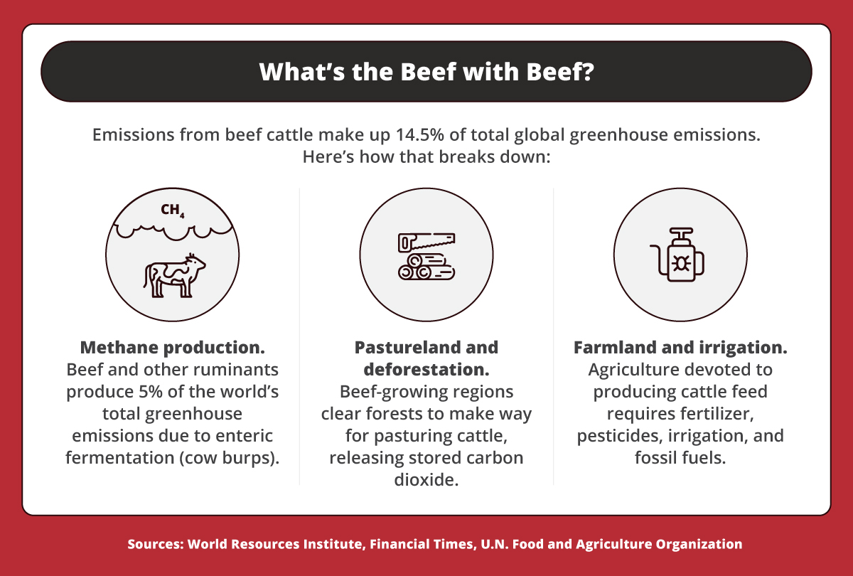 Guide to Sustainable Eating: Improving Your Health and the Planet