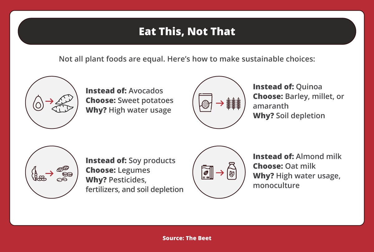 Guide to Sustainable Eating: Improving Your Health and the Planet ...