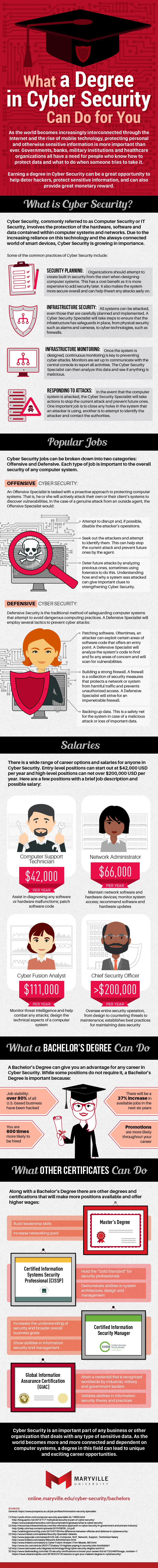 What a Degree in Cyber Security Can Do for You Infographic