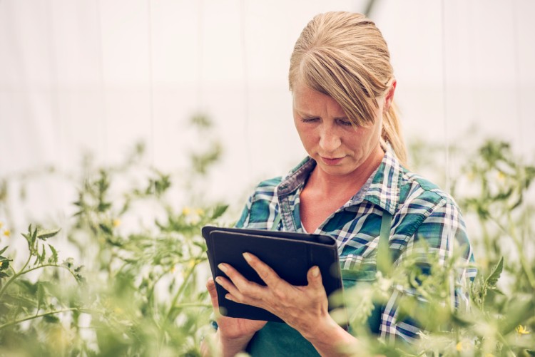 An environmental consultant uses a tablet to input site data.
