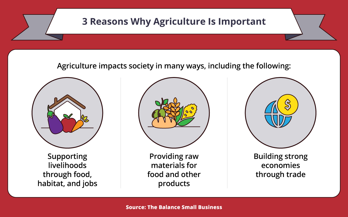 Ways agriculture affects society.