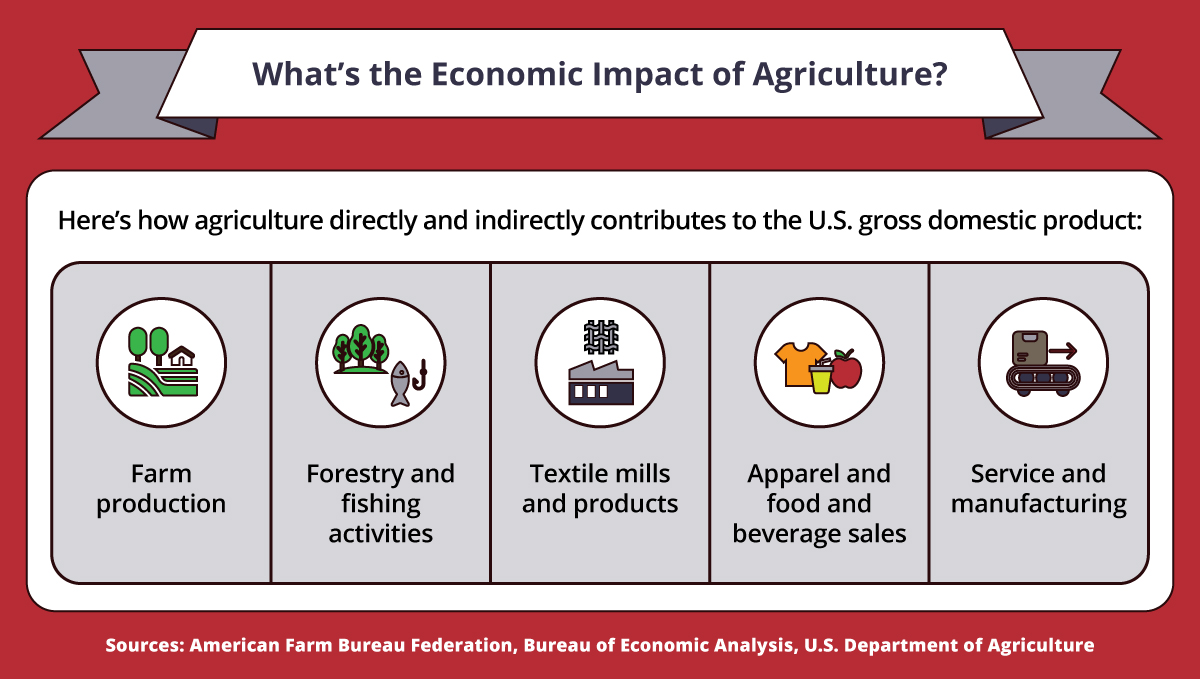 Five areas where agriculture affects the American economy.