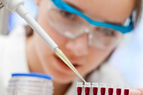 A forensic scientist works with a DNA sample.