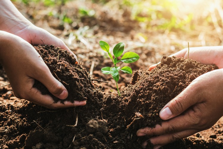 essay on importance of soil conservation in hindi